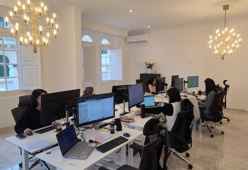 Modern open-plan SEO Butler office with desks, monitors and a leafy plant