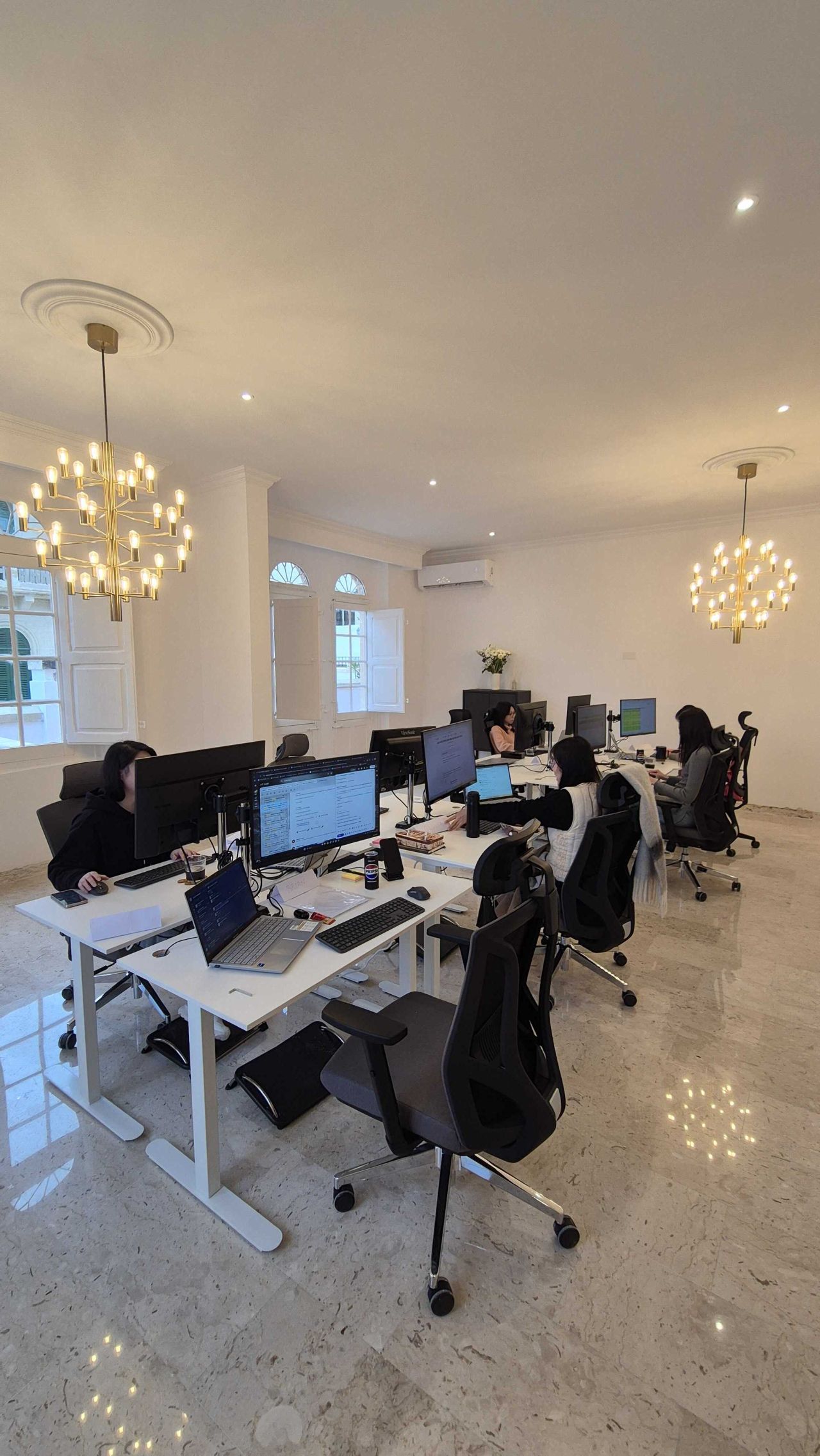 Modern open-plan SEO Butler office with desks, monitors and a leafy plant